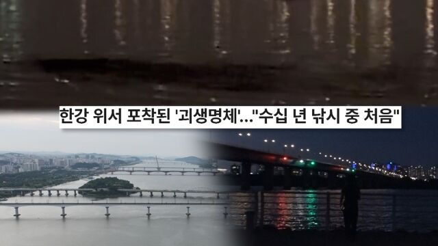 '궁금한 이야기 Y' / SBS 제공
