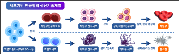 /식품의약품안전처