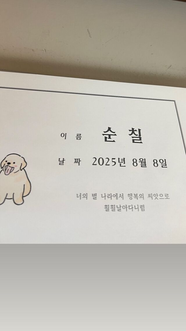 / 미자 인스타그램
