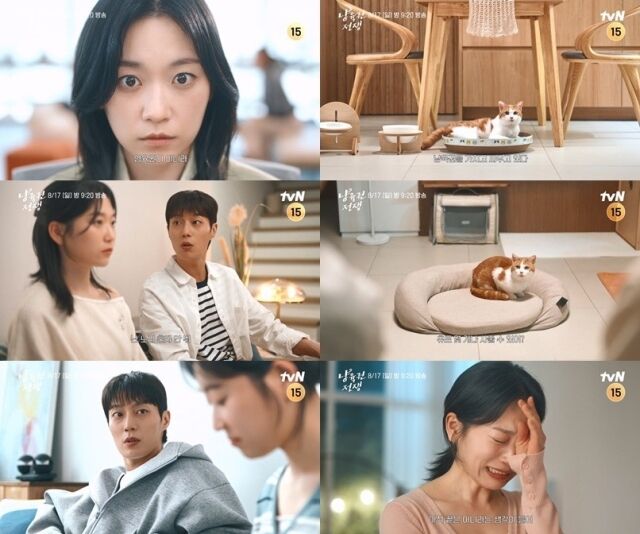 '냥육권 전쟁' 예고편/tvN