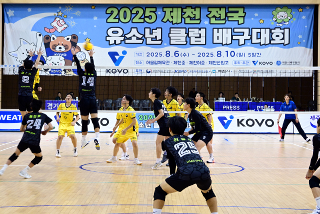 대전 도안중과 KB손해보험의 경기 사진./KOVO