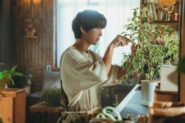 '마이 유스' 송중기/JTBC
