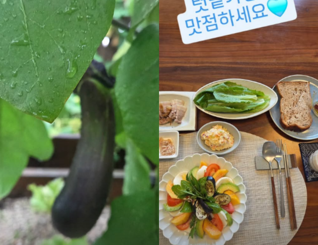 이영애 SNS