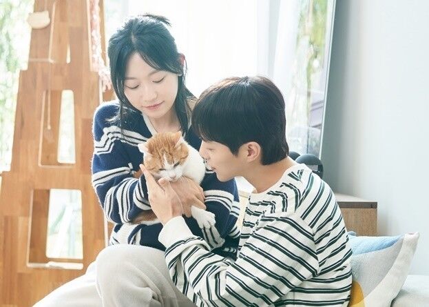 tvN '냥육권 전쟁'