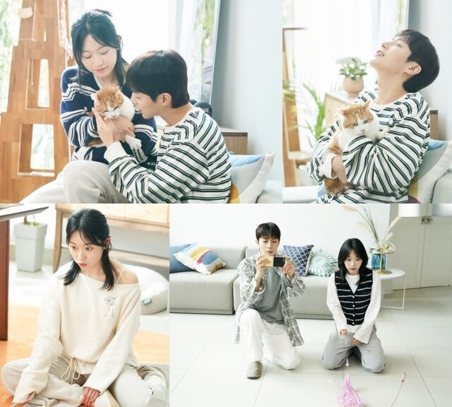 tvN '냥육권 전쟁'