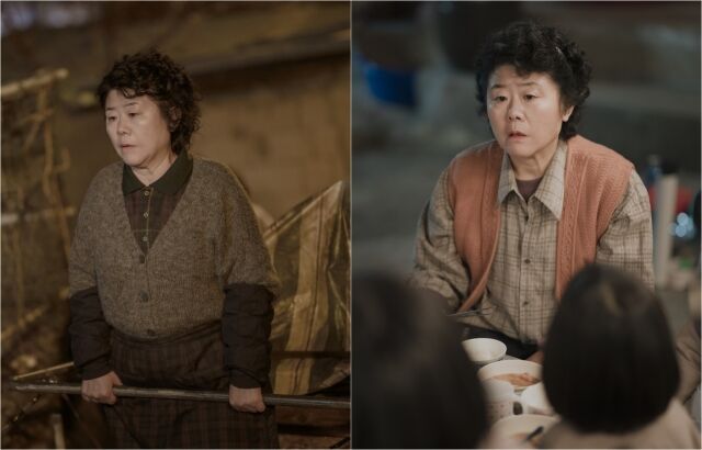 배우 이정은 '백번의 추억' 스틸컷 / JTBC