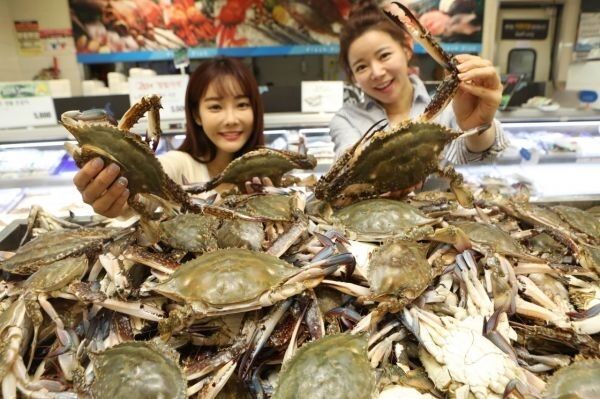 /롯데마트