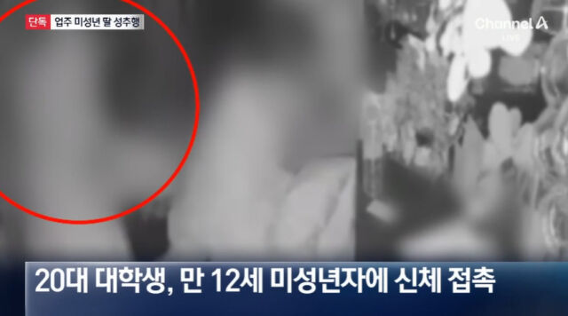 20대 대학생이 점주의 초등학생 자녀를 성추행한 사건이 발생했다. /채널A