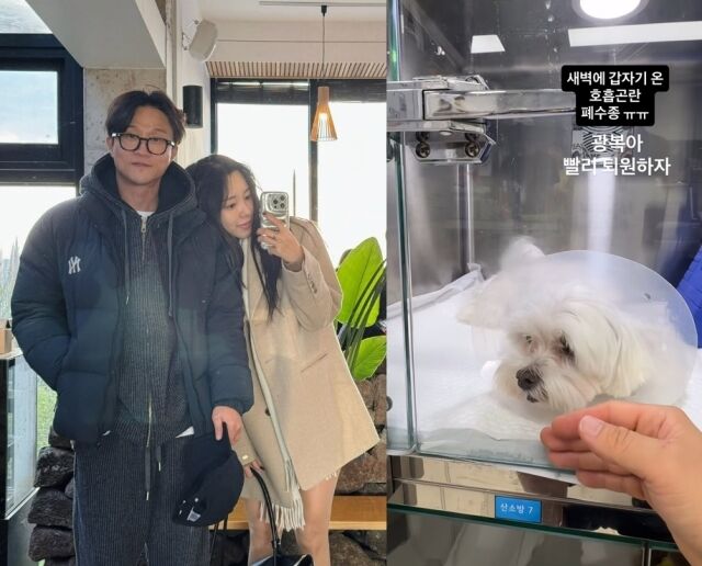 코미디언 박성광, 이솔이 부부가 반려견의 안타까운 근황을 전했다. / 박성광, 이솔이 인스타그램