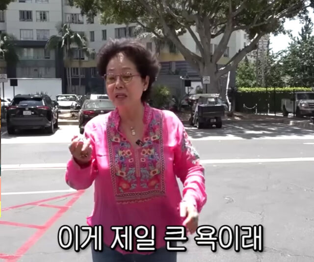 미국 여성에게 선우용여가 손가락 욕을 당했다. / 유튜브 '순풍 선우용여'