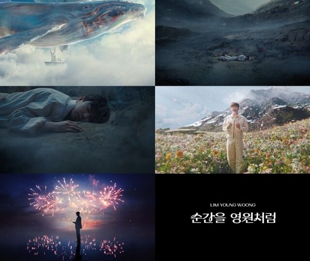 가수 임영웅 신곡 뮤직비디오/물고기뮤직