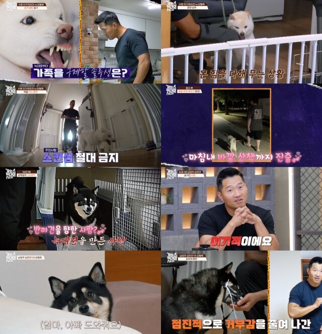 채널A ‘개와 늑대의 시간’