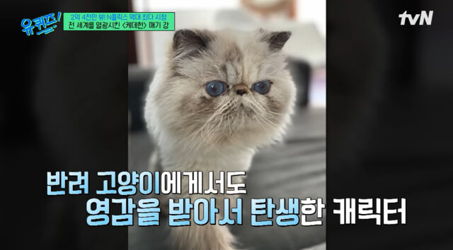 '유퀴즈'./tvN