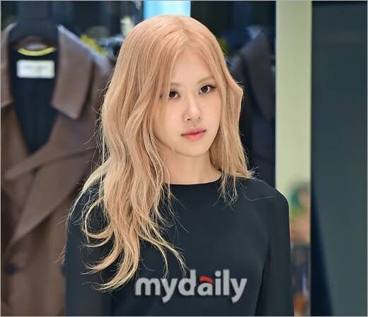 로제 / 마이데일리
