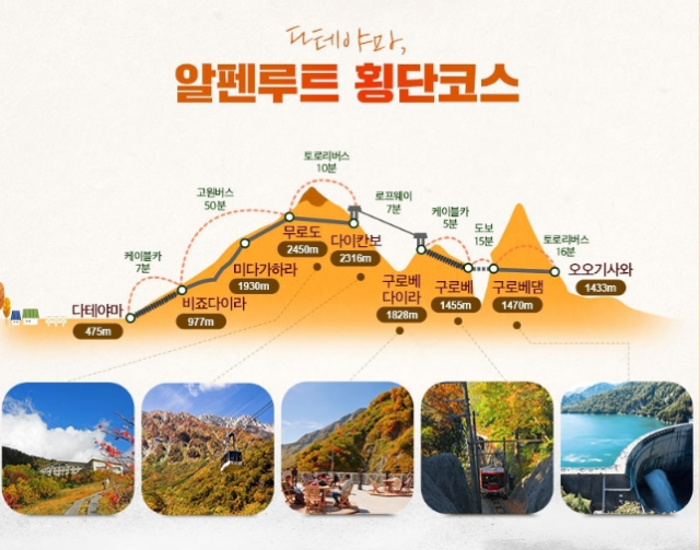 일본 단풍여행./롯데관광