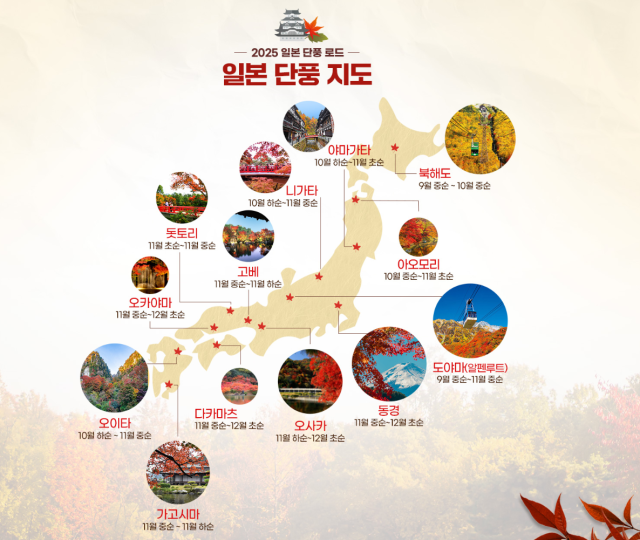 일본 단풍여행./롯데관광