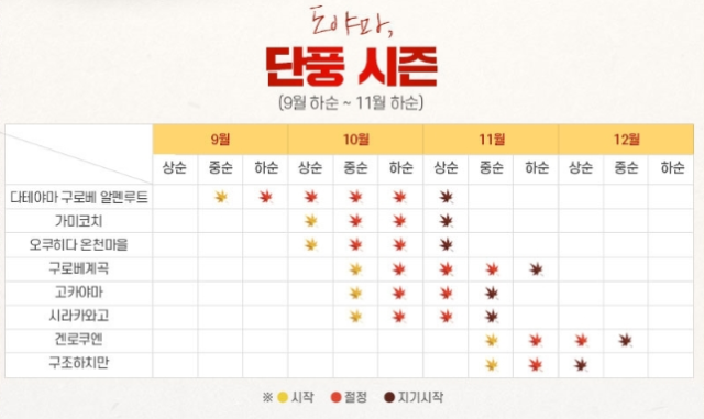 일본 단풍여행./롯데관광