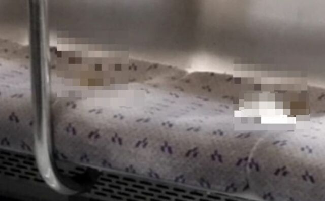 서울 지하철 7호선 열차 좌석 위에서 배설물이 발견돼 충격을 주고 있다. /온라인커뮤니티 캡처