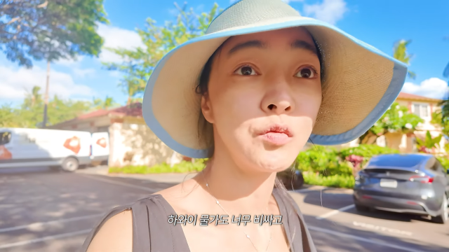 서효림 유튜브 채널