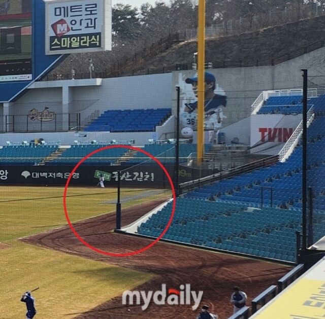 지난 3월 촬영된 라이온즈파크의 1루 익사이팅존 그물망 폴대./마이데일리