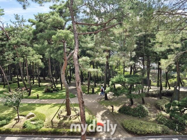 소나무 숲 속 안토 산책로. /방금숙 기자