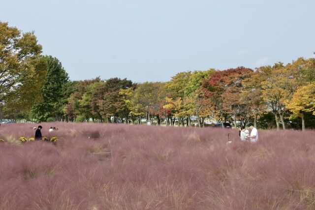 경륜경정총괄본부 제공