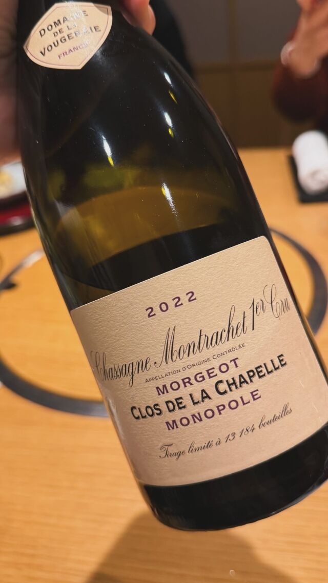 배우 송혜교가 게재한 사진/송혜교 소셜미디어