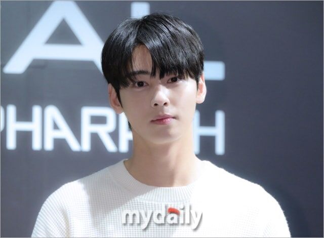 차은우./마이데일리DB