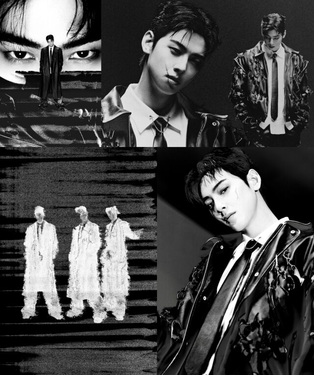 차은우 / 판타지오