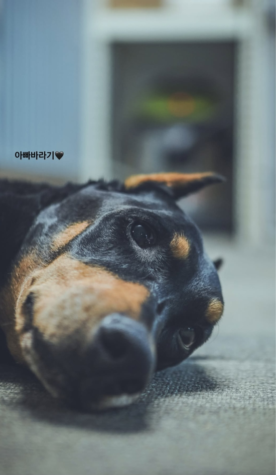 배정남 인스타그램