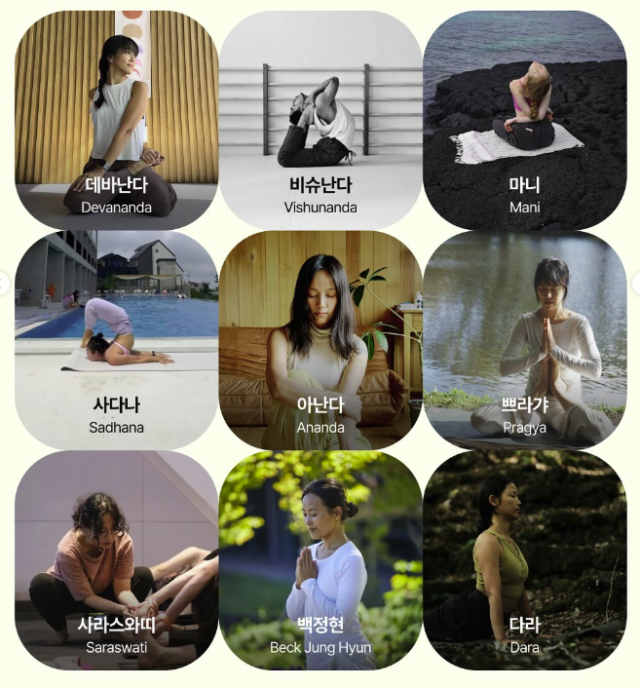 이효리가 개최한 요가 클래스 / '아난다 요가' 인스타그램