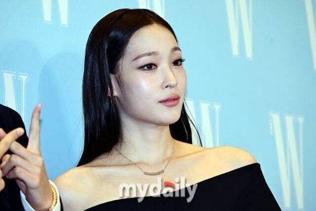 애니 / 마이데일리