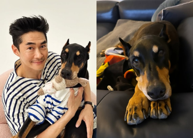 배우 배정남과 벨/배정남 인스타그램