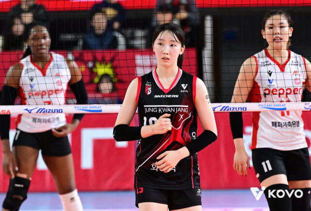 정관장 최서현./KOVO