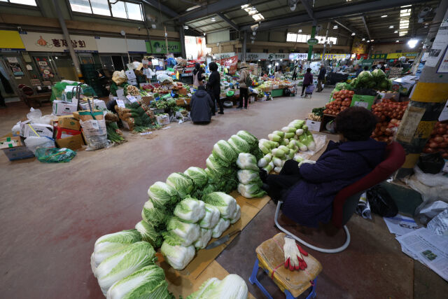 서울시내 한 전통시장이 한산한 모습을 보이고 있다. /뉴시스