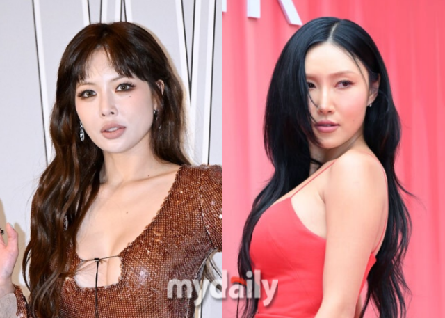 가수 현아, 화사/마이데일리 DB