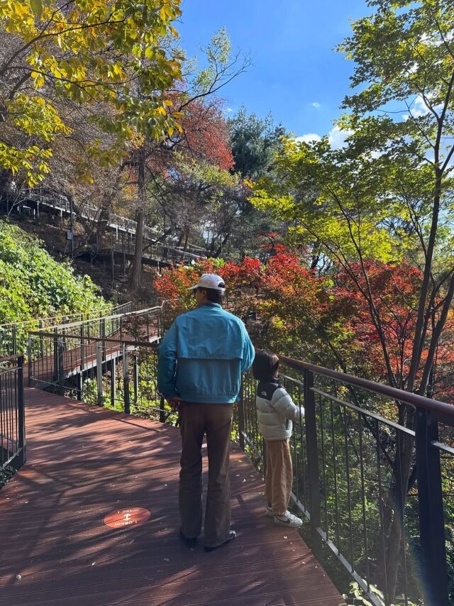 / 마이큐 인스타그램