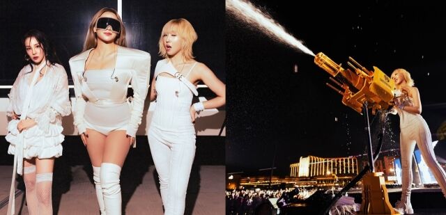 2NE1 멤버들/공민지 개인 SNS