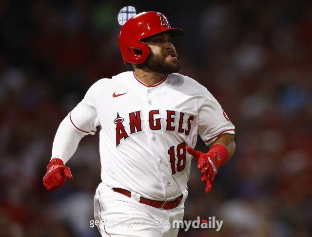 에인절스 시절 로하스./게티이미지코리아