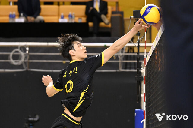 공격하는 임성진./KOVO