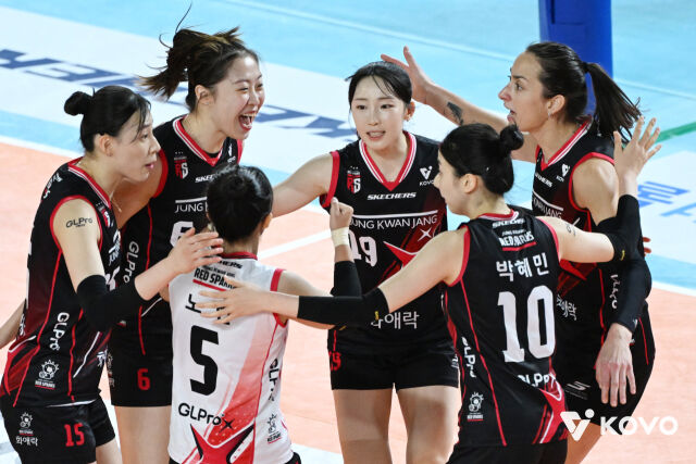 정관장 배구단./KOVO