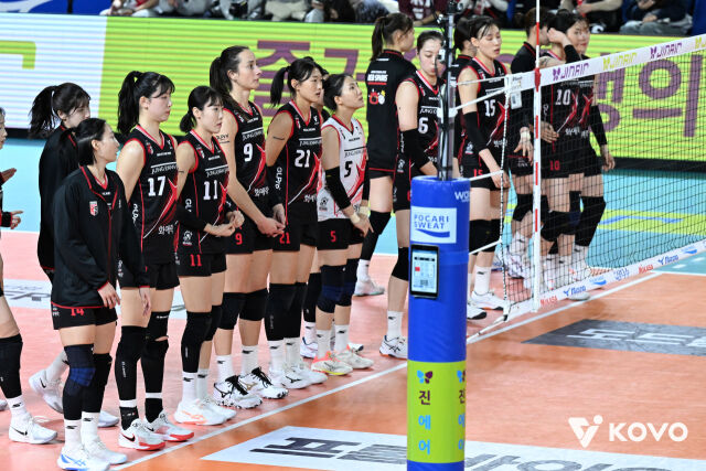 정관장 배구단./KOVO