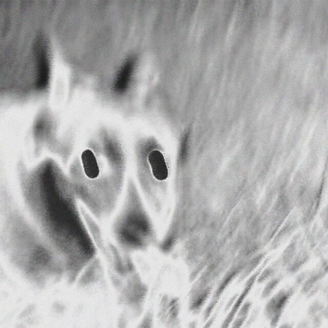 / 유니버설뮤직그룹