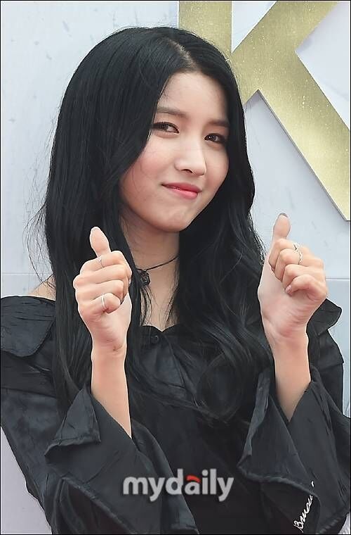 소원 / 마이데일리