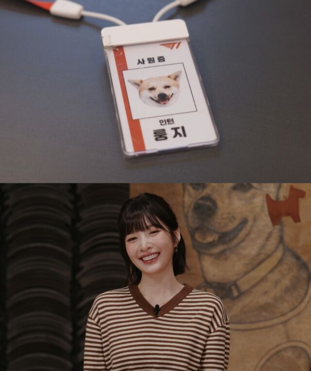 'TV 동물농장' / SBS