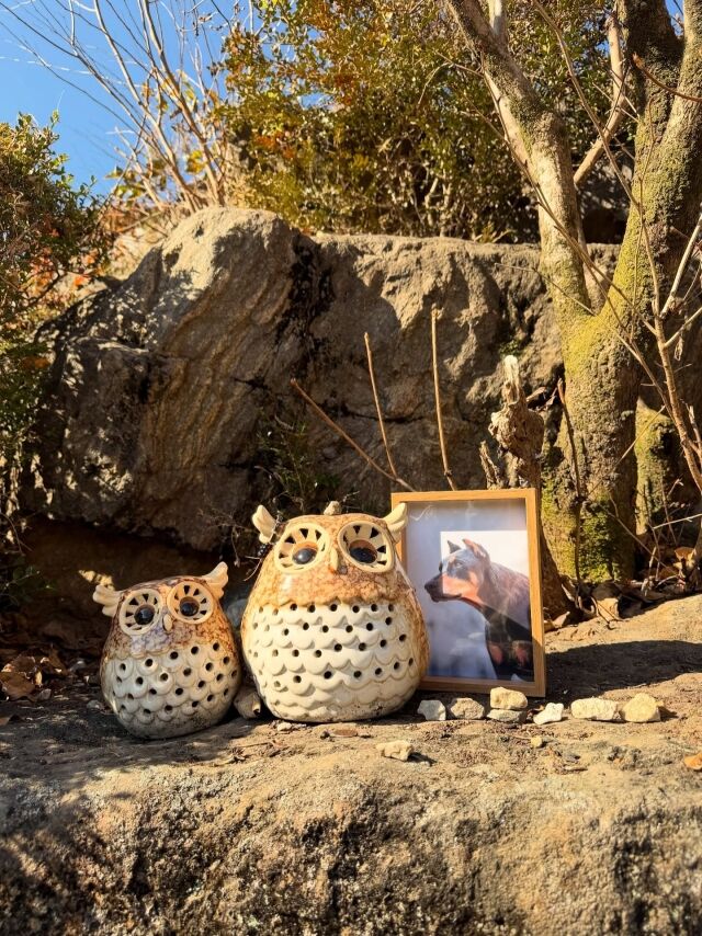 모델 겸 배우 배정남이 게재한 사진/배정남 소셜미디어