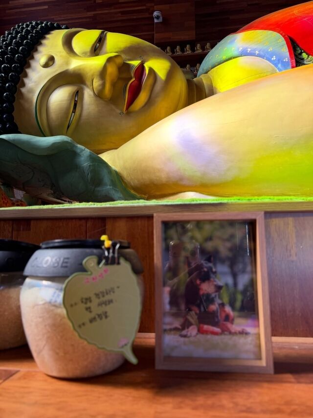 모델 겸 배우 배정남이 게재한 사진/배정남 소셜미디어