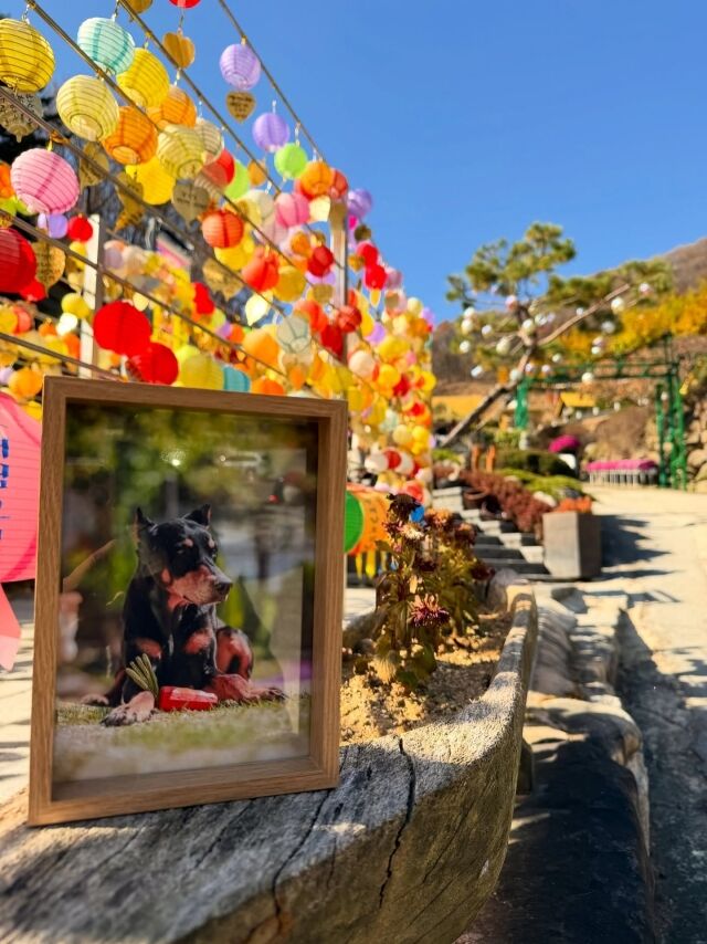 모델 겸 배우 배정남이 게재한 사진/배정남 소셜미디어