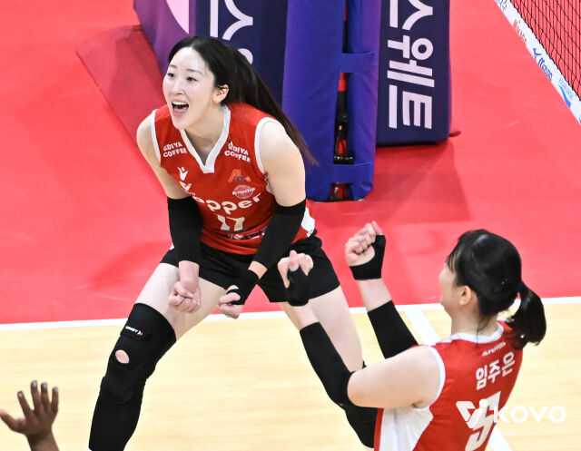 환호하는 고예림./KOVO