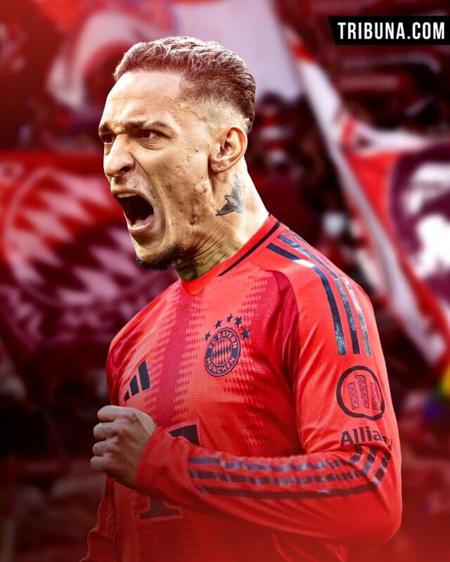 안토니./트리뷰나